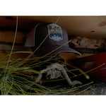 L.A.W Wilderness Patch Hat (Trucker)